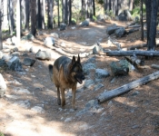 2020 10 05 Montana 027